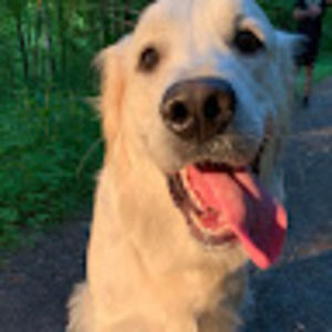 Meet your Posher, Jesse